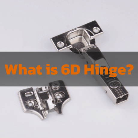 What is 6D hinge_2457_2457.jpg